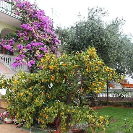 6271d Apartment *